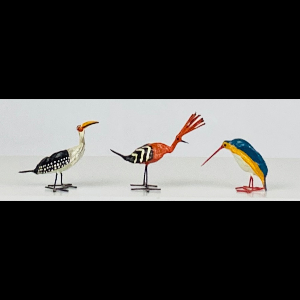 Unique Birds